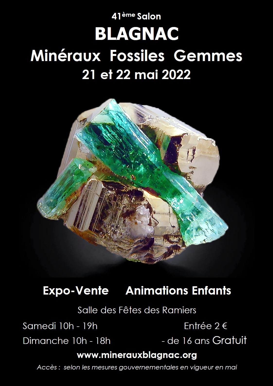 4 Cheminement De La Sarriette 31700 Blagnac